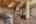 Blurred preview of media: 285 Silver Queen Drive, Breckenridge, CO 80424-Web-18