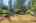 Blurred preview of media: 1-36