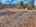 Blurred preview of media: DJI_20260310133150_0744_D_5_D_6_D_easyHDR