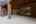 Blurred preview of media: edit 5