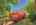 Blurred preview of media: 20251002204148717968000000-o