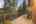 Blurred preview of media: 0314 Coronet Drive, Blue River, Colorado, 80424 - Web-54