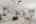 Blurred preview of media: Image Sep 25, 2025 at 07_51_17 PM