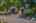 Blurred preview of media: Aerial 03
