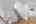 Blurred preview of media: 706 S Bay (57)