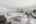 Blurred preview of media: 057A7061