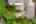Blurred preview of media: 20250808L_lg_JW0012