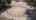 Blurred preview of media: nExtmhjBx34tO82z9RSC@030124bf39