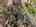 Blurred preview of media: DJI_0001-HDR