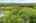 Blurred preview of media: 592 Sugar Road Bolton Massachusetts Job 38874 0084