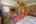 Blurred preview of media: IMG_4514_5_6
