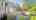 Blurred preview of media: IMG_0752