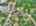 Blurred preview of media: DJI_20260625123228_0486_D_9_0487_D_9_0488_D_easyHDR