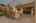 Blurred preview of media: Firebrand Dr-49