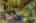 Blurred preview of media: DSC_3630