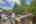 Blurred preview of media: IMG_0012