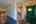Blurred preview of media: IMG_8897_8_9