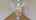 Blurred preview of media: Unknown media