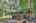 Blurred preview of media: IMG_2131_2_3_easyHDR