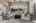 Blurred preview of media: 214SilentSpring-10