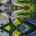 Blurred preview of media: 47