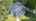 Blurred preview of media: DJI_0321