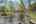 Blurred preview of media: PAX_0827