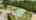 Blurred preview of media: riverglen-39