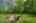 Blurred preview of media: Kerwood-38
