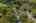 Blurred preview of media: Aerial 07