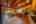Blurred preview of media: TEL00591-HDR