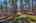 Blurred preview of media: IMG_9367_8_9_easyHDR