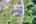 Blurred preview of media: DJI_0173_4_5_easyHDR