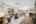 Blurred preview of media: DSC09722