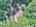 Blurred preview of media: DJI_20250603145721_0722_D_3_D_4_D_easyHDR