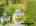 Blurred preview of media: 1-826-