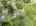 Blurred preview of media: 94 Central Street Andover Massachusetts Job 40242 0074