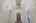 Blurred preview of media: 6243Cecilyann-5