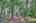 Blurred preview of media: IMG_2113_4_5_easyHDR