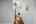 Blurred preview of media: DSC08931