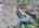 Blurred preview of media: DJI_20260408121654_0472_D_3_D_4_D_easyHDR