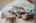 Blurred preview of media: 20250908L_lg_JW0005
