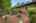 Blurred preview of media: 33
