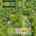 Blurred preview of media: 1-926--3