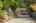 Blurred preview of media: Aerial 02