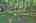 Blurred preview of media: 9zzy