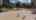 Blurred preview of media: oCji7PDVjgFcC7BupHDw@40274b9314