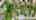Blurred preview of media: Outline3