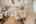 Blurred preview of media: PAX_0588