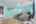 Blurred preview of media: IMG_3455